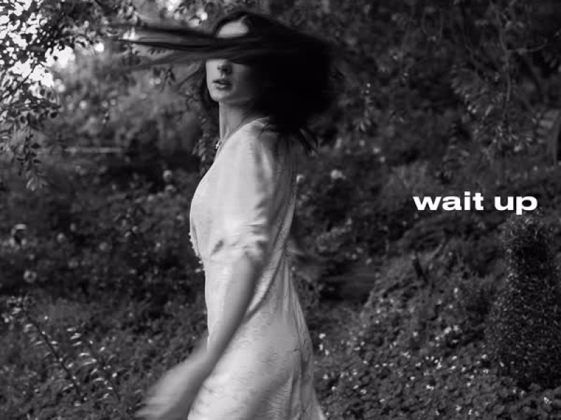 Wait Up (Single)