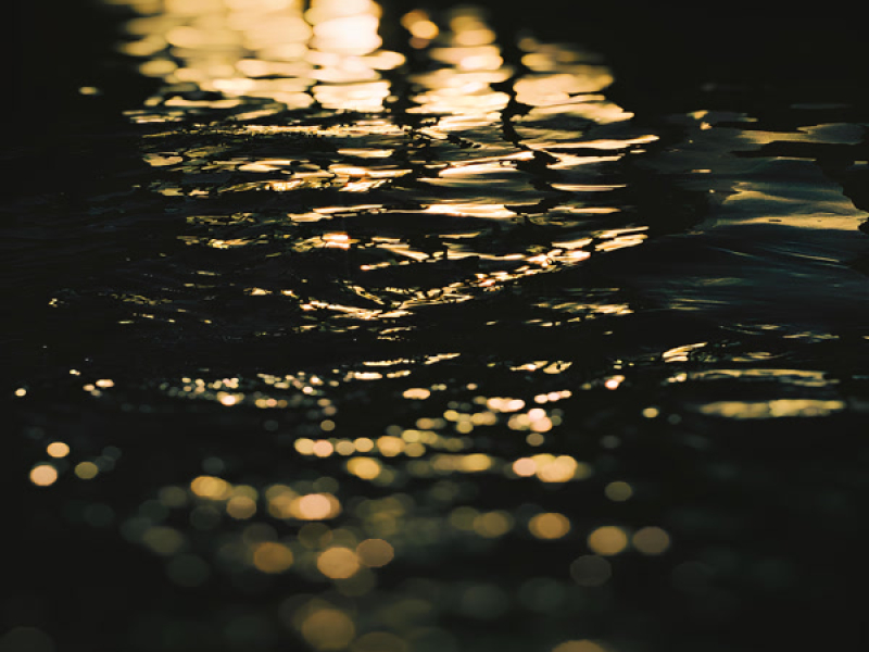 Sha la la sha la la (Single)