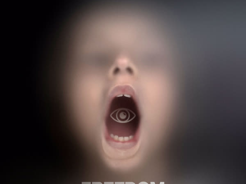 Freedom (Pluck Mix) (Single)