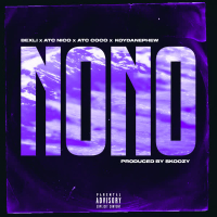 NoNo (Single)