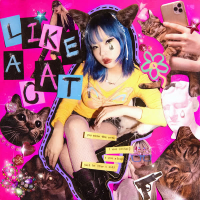 Like A Cat (Single)