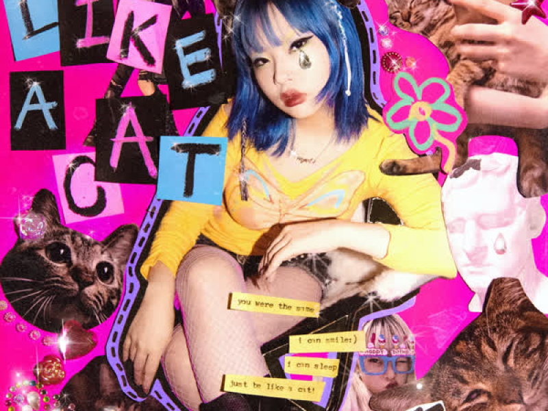 Like A Cat (Single)