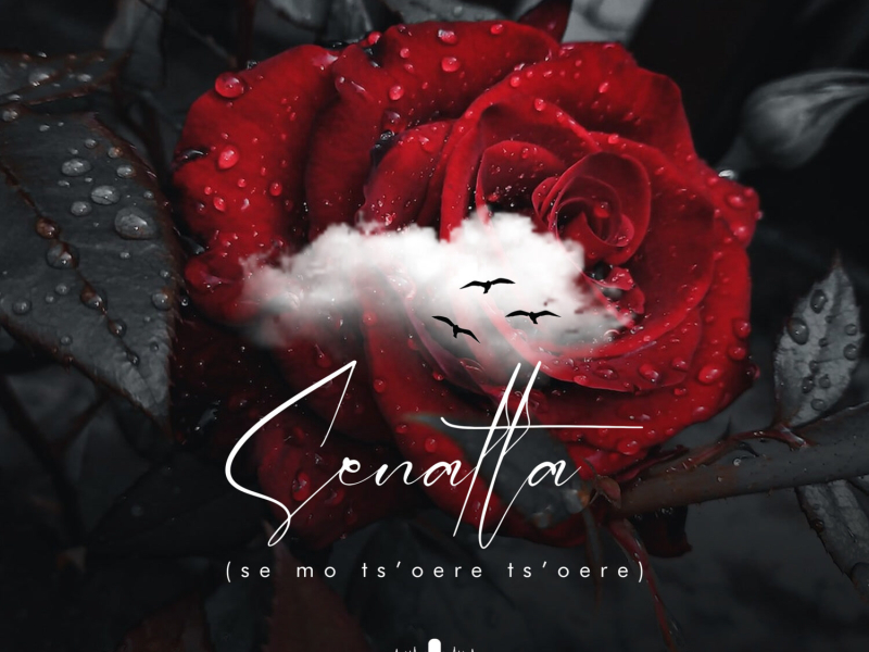 Senatla (Single)