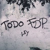 Todo FDP (Single)