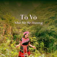 Tò Vò- Nhớ Mẹ Se Hương (Single)