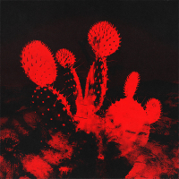 Hardcore Romance (Single)