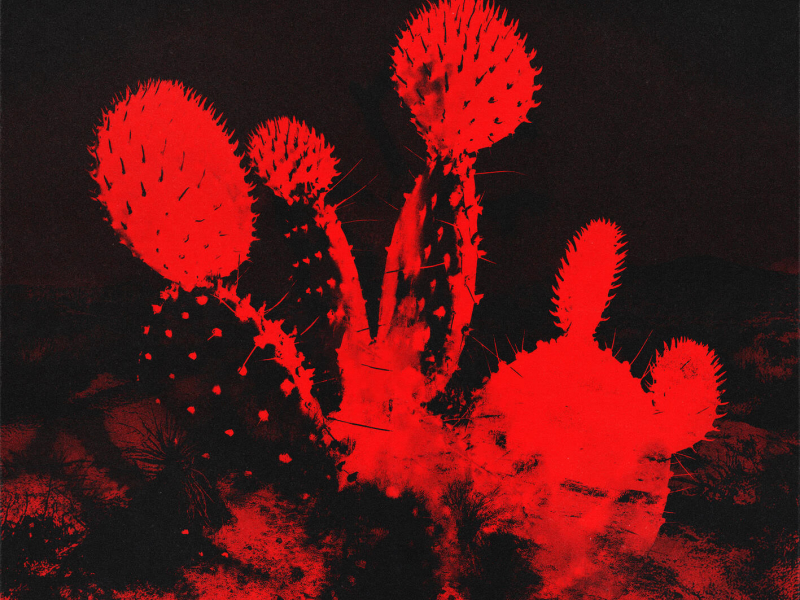 Hardcore Romance (Single)