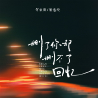 删了你却删不了回忆 (Single)