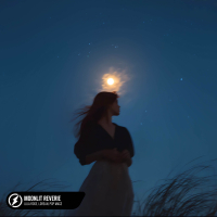 Moonlit Reverie (Single)