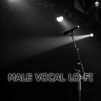 Male Vocal Lo-Fi (Single)