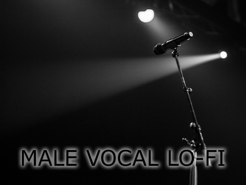 Male Vocal Lo-Fi (Single)