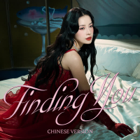Finding You (Chinese Version) (Single)