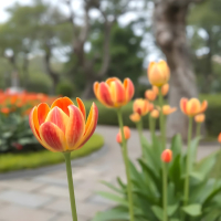 Hati yang berbunga (Single)