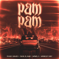 PAM PAM (Single)