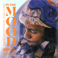 In the Mood (Single)