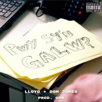 Pwy Sy'n Galw? (Single)