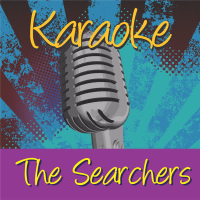 Karaoke - The Searchers