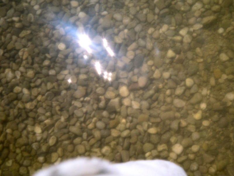 i don't have (Single)