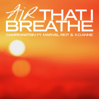 Air That I Breathe (Single)