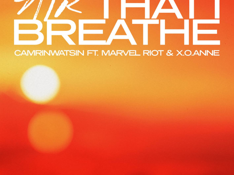 Air That I Breathe (Single)