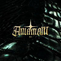 ANLAMAM (Single)