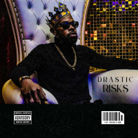Risks (Single)