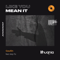 Like You Mean It (Single)