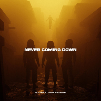 Never Coming Down (Single)