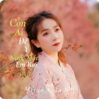 Còn Ai Để Ý Nước Mắt Em Rơi (Single)