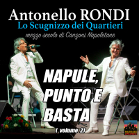 Napule, punto e basta, Vol. 2: Lo Scugnizzo dei Quartieri - mezzo secolo di Canzoni Napoletane