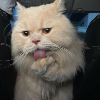 take it off nail (Single)