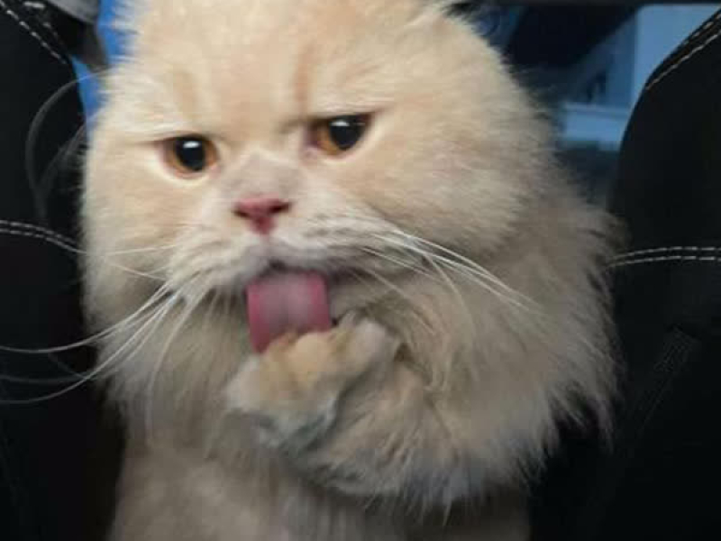 take it off nail (Single)