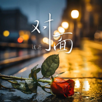 对面 (Single)