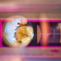 Karanlığın (Single)