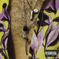 Trip Advisor (Single)