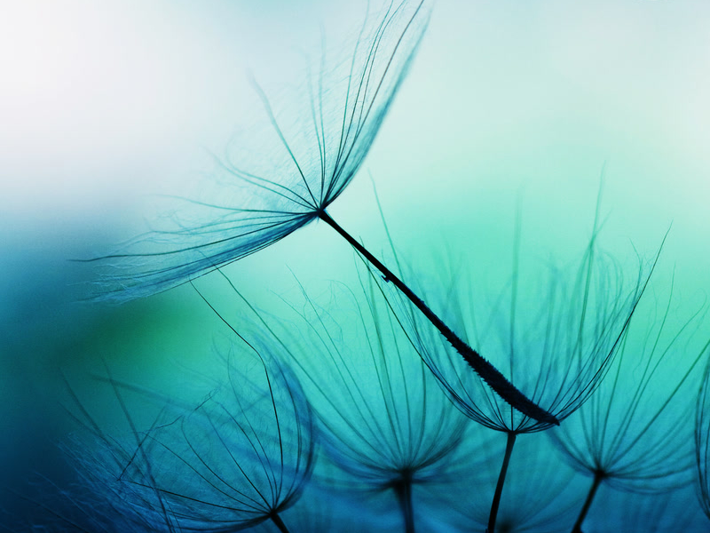 The Place Of Peace (Sleep) (Single)