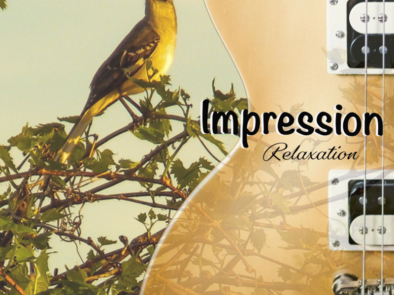 Impression (feat. Carl Henry Volny) (Single)