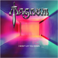 I Won't Let You Down (Single)