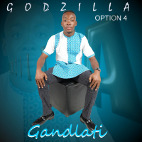 Gandlati Option 4 (Single)