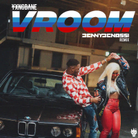 Vroom (Benny benassi Remix) (Single)