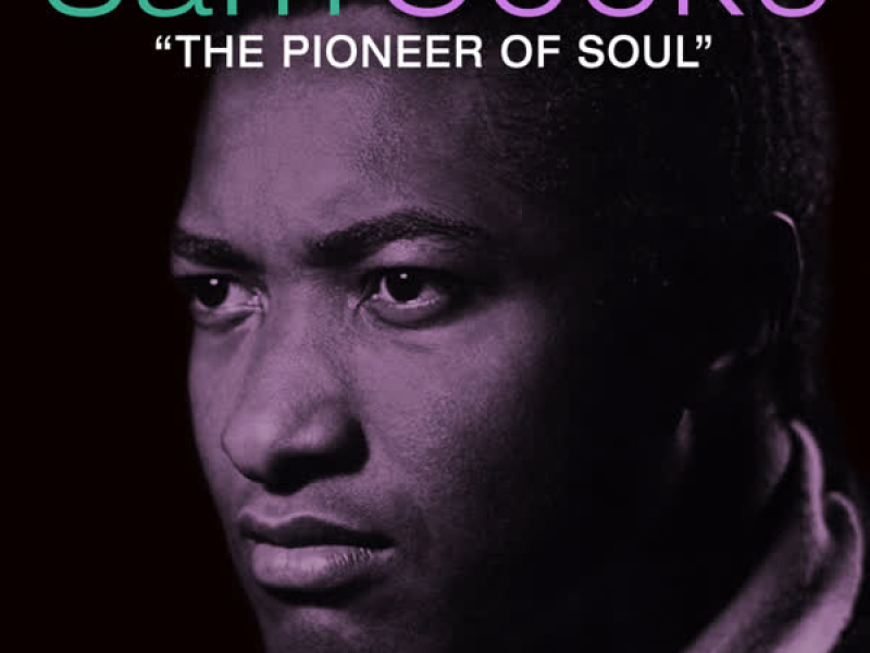 The Pioneer Of Soul