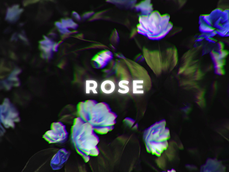 Rose (Radio Edit) (Single)