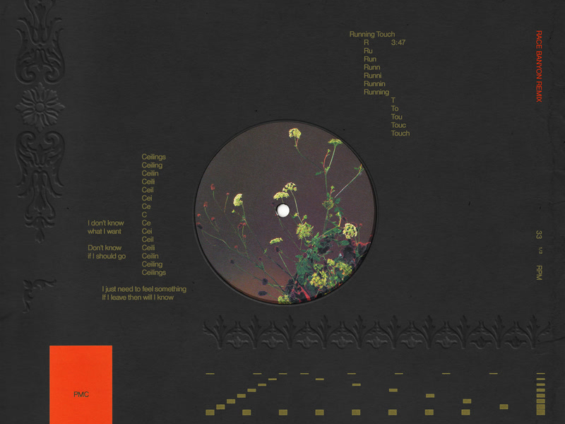 Ceilings (Race Banyon Remix) (Single)