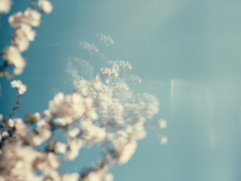 three days to remember (EP)