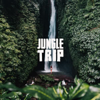 Jungle Trip (Single)