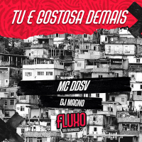 Tu é Gostosa Demais (Single)
