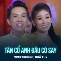 Tân Cổ Anh Đâu Có Say (Single)