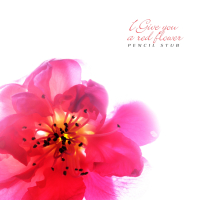 I Give You A Red Flower (Single)
