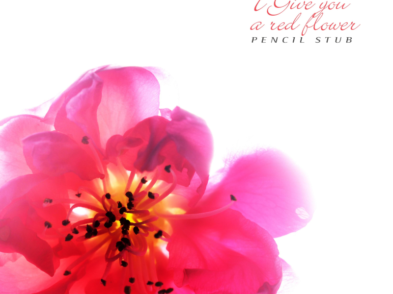 I Give You A Red Flower (Single)