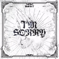 I'm Sorry (Single)